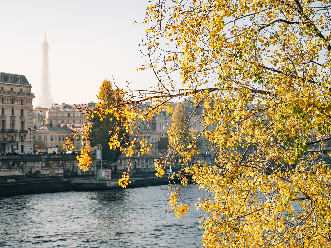 Paris in autumn what to do