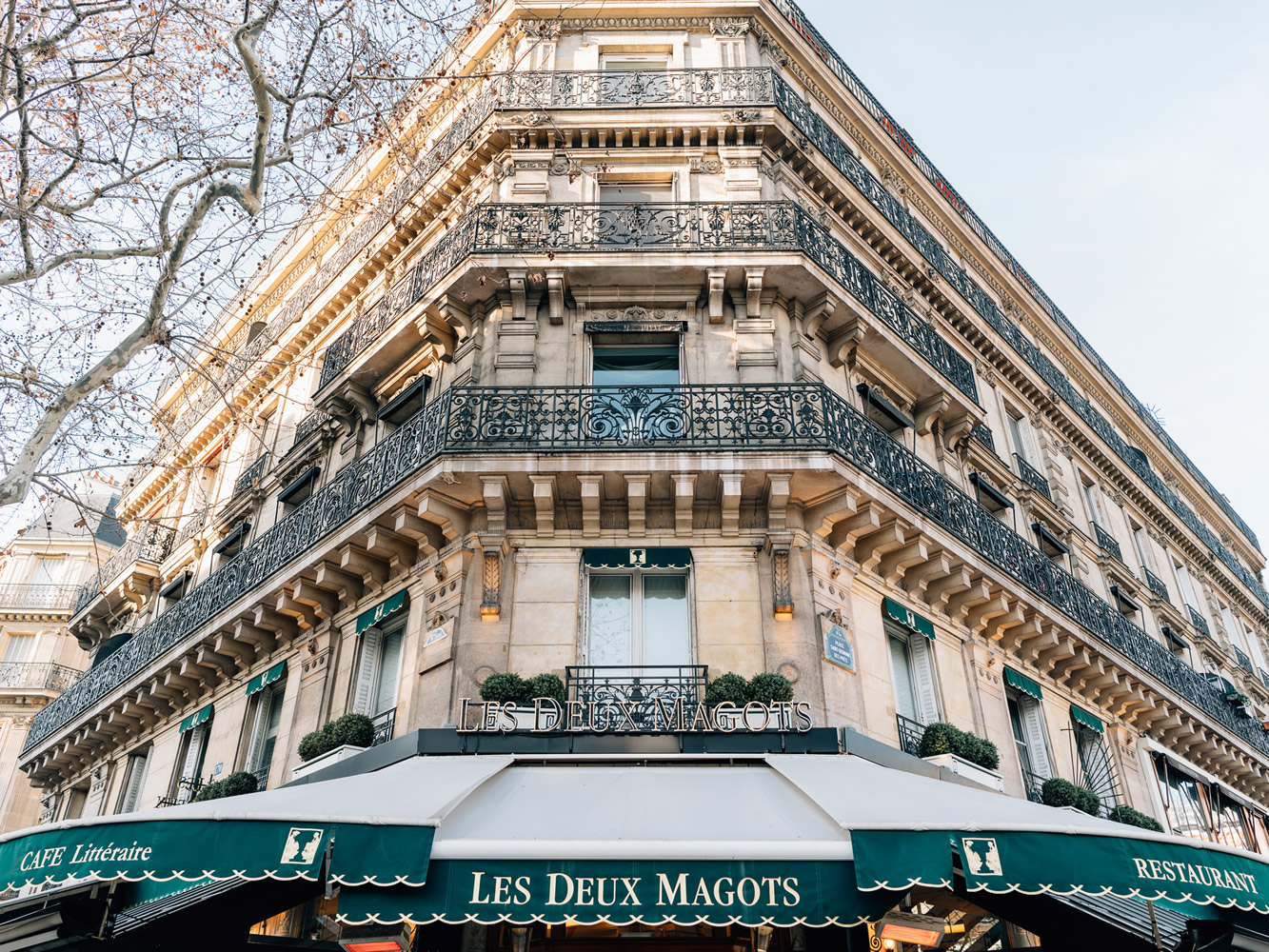 Les Deux Magots in Paris