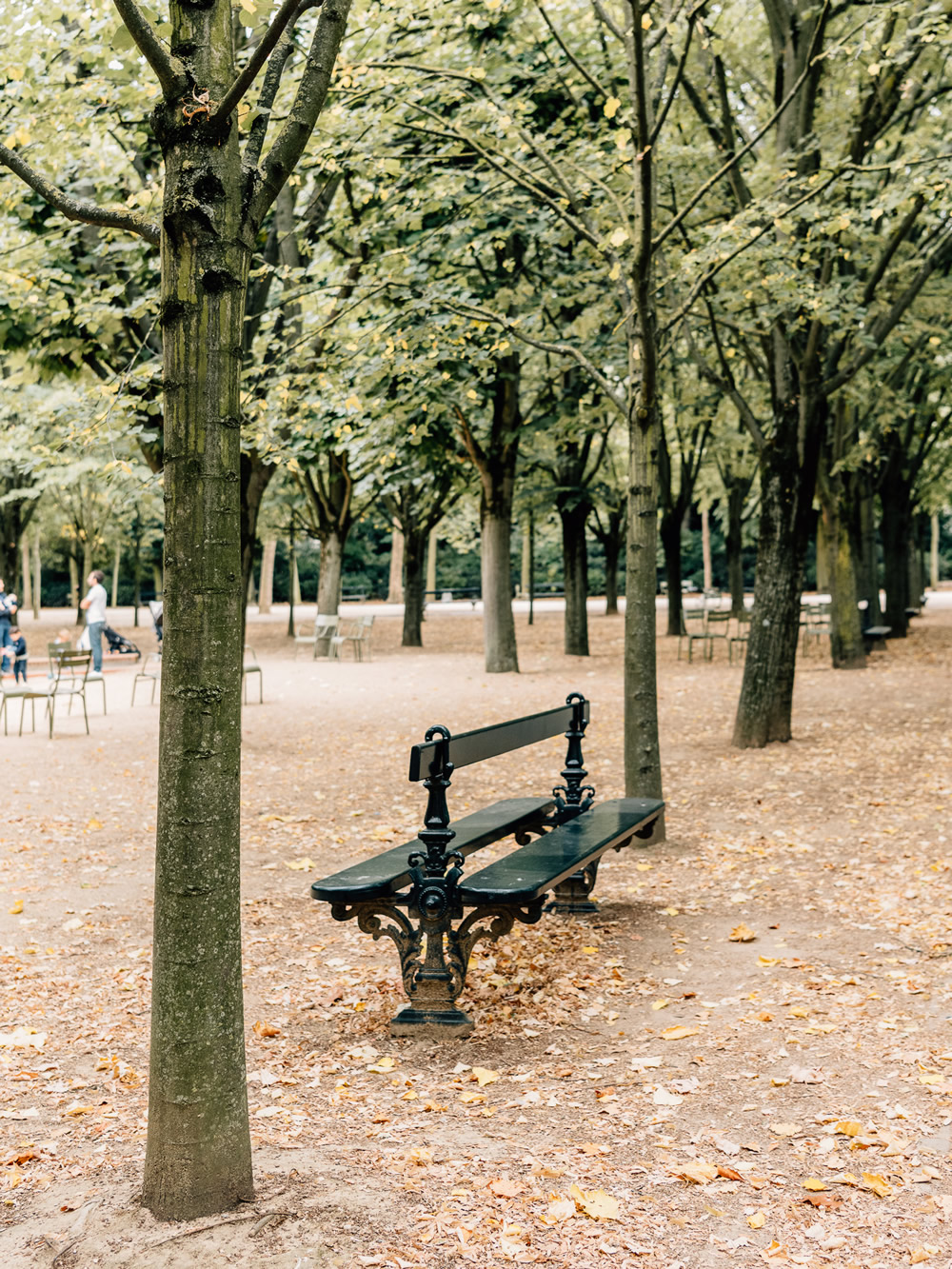 The famous Luxembourg Gardens in Paris